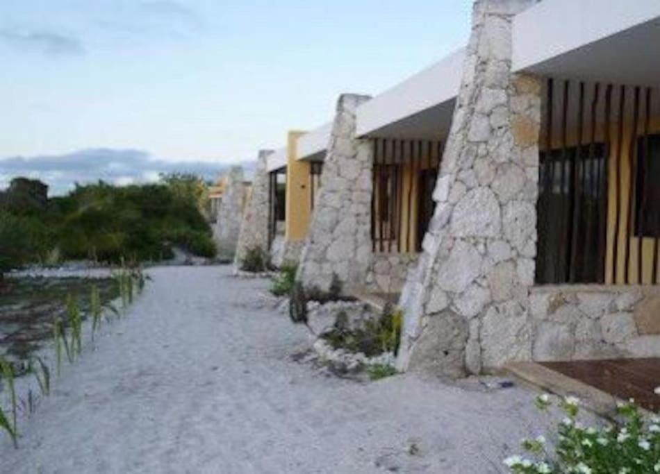 Beachfront Apartment With Swimming Pool. One Bedroom Celestun Exteriör bild