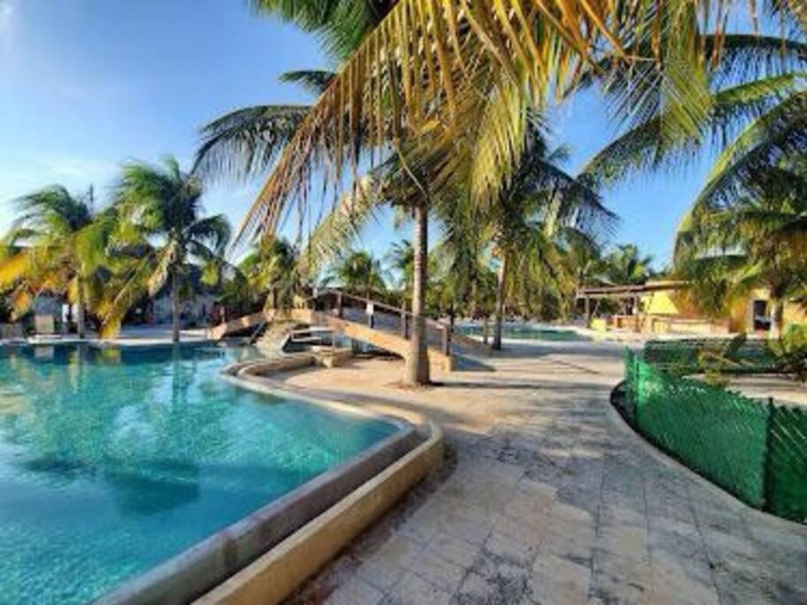 Beachfront Apartment With Swimming Pool. One Bedroom Celestun Exteriör bild
