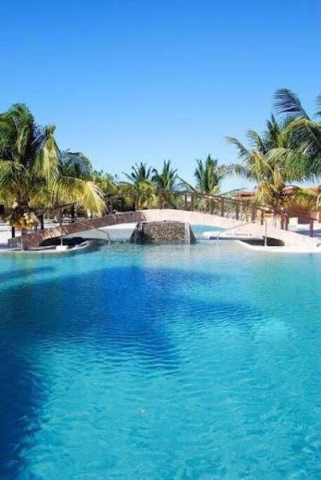 Beachfront Apartment With Swimming Pool. One Bedroom Celestun Exteriör bild
