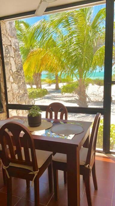 Beachfront Apartment With Swimming Pool. One Bedroom Celestun Exteriör bild