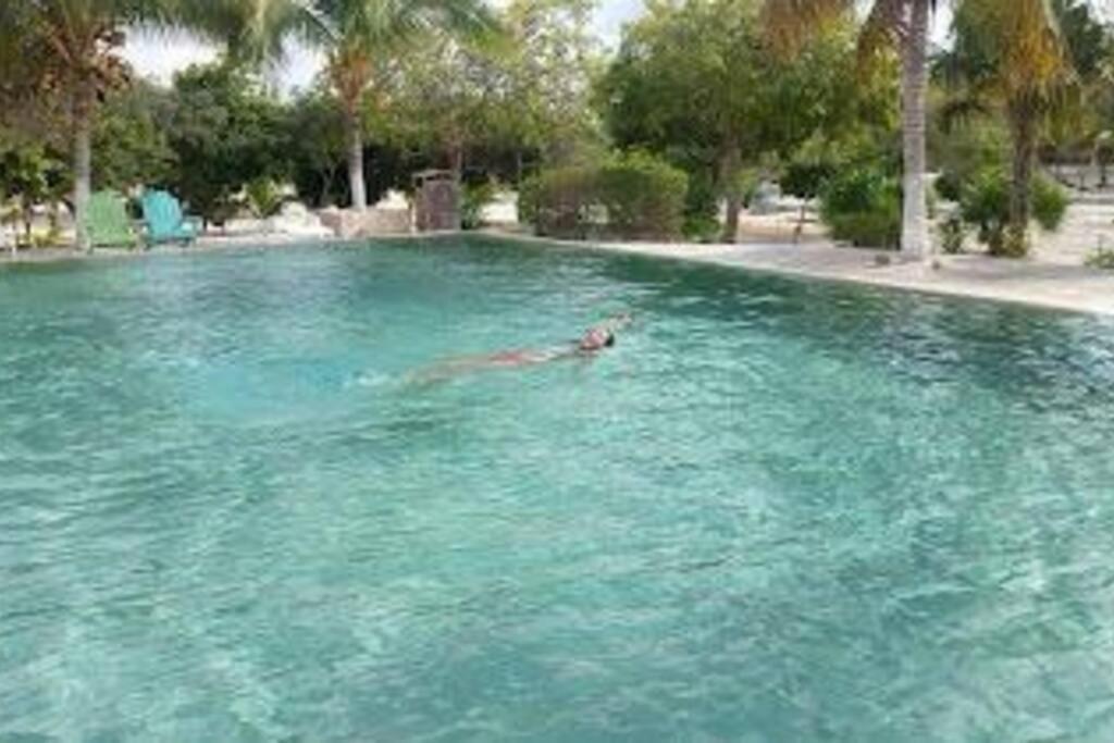 Beachfront Apartment With Swimming Pool. One Bedroom Celestun Exteriör bild