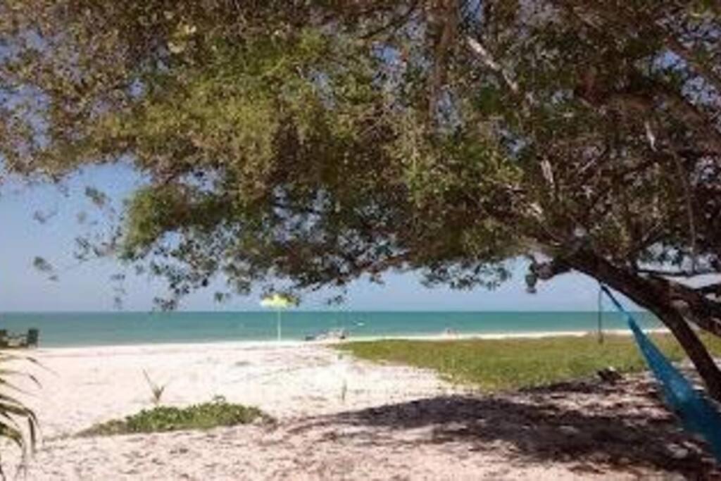 Beachfront Apartment With Swimming Pool. One Bedroom Celestun Exteriör bild